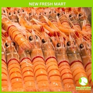 Tôm Scampi Newzealand