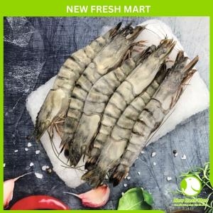 Tôm Sú Sinh Thái Nguyên Con Size 16-20