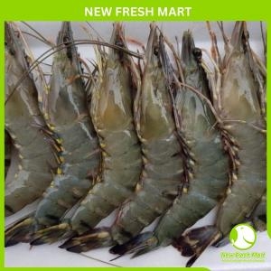 Tôm Sú Sinh Thái Nguyên Con Size 20-30 Tôm Sú Sinh Thái Nguyên Con Size 20-30