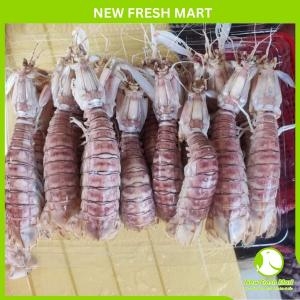 Tôm Tít Nguyên Con Hấp 10-20