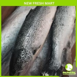 Cá Hồi Nauy Nguyên Con Tươi 6-7