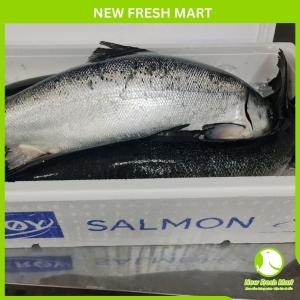 Cá Hồi Nauy Nguyên Con Tươi 6-7