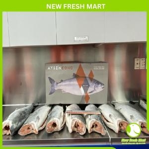 Cá Hồi Chi Lê Đông Không Đầu