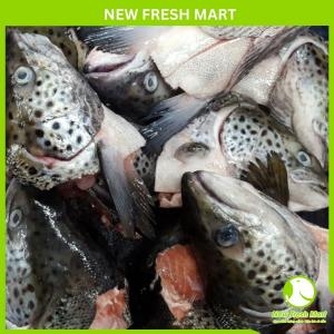 Đầu Cá Hồi Nauy Đầu Cá Hồi Nauy