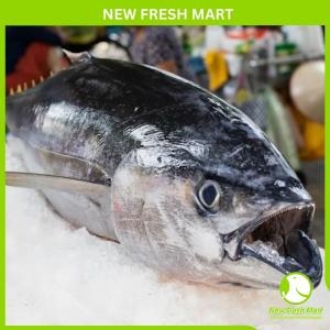 Cá Ngừ Đại Dương Nguyên Con Tuơi