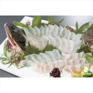 Cá Bơn Nhật Bản