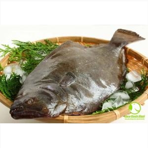 Cá Bơn Nhật Bản