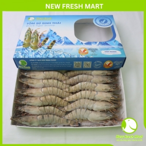 Tôm Sú Sinh Thái Nguyên Con Size 16-20