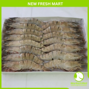 Tôm Sú Sinh Thái Nguyên Con Size 16-20