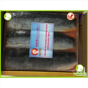 Cá Trích Ép Trứng Osushiya