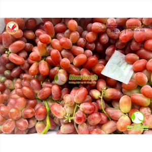 Nho Đỏ Crimson - 500Gr Nho Đỏ Crimson - 500Gr