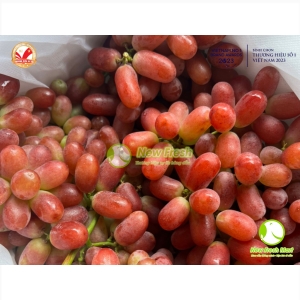 Nho Đỏ Crimson - 500Gr Nho Đỏ Crimson - 500Gr