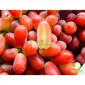 Nho Đỏ Crimson - 500Gr Nho Đỏ Crimson - 500Gr