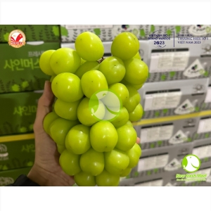 Nho Mẫu Đơn Hộp Quà