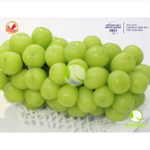 Nho Mẫu Đơn Hàn Quốc Greenvil