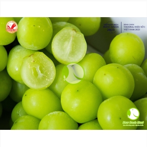 Nho Mẫu Đơn Hàn Quốc Greenvil