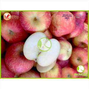 Táo Dutoit Táo Dutoit