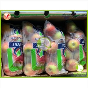 Táo Dutoit Táo Dutoit