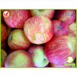 Táo Dutoit Táo Dutoit