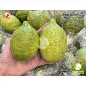 Chanh Quảng Đông