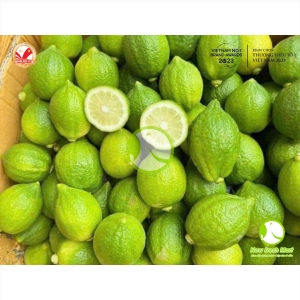 Chanh Quảng Đông