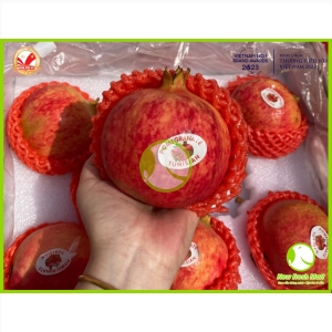 Lựu Ruby Lựu Ruby