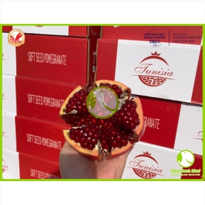Lựu Ruby Lựu Ruby