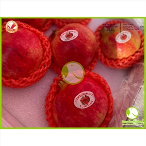 Lựu Ruby Lựu Ruby