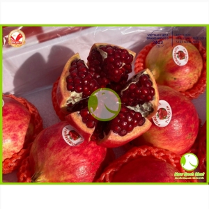 Lựu Ruby Lựu Ruby