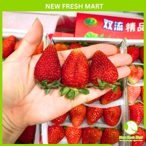 Dâu Tây Hàn Quốc