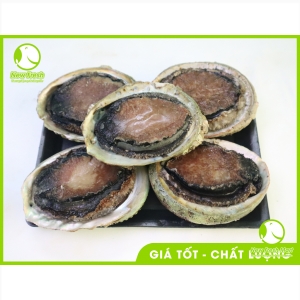 Bào Ngư Úc Viền Đen Đông Lạnh