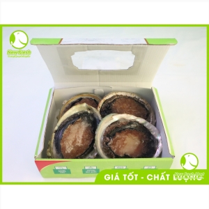 Bào Ngư Úc Viền Đen Đông Lạnh