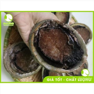 Bào Ngư Úc Viền Đen New Fresh