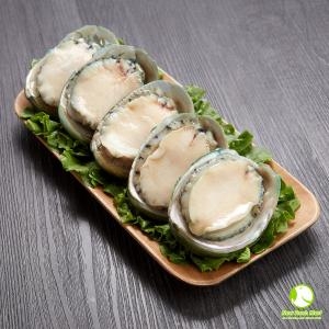 Bào Ngư Úc Viền Xanh New Fresh