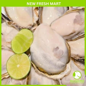 Hàu Nhật New Fresh