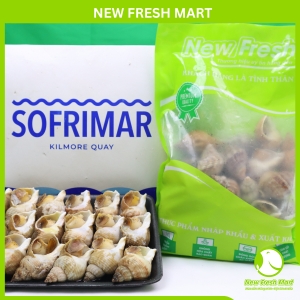 Ốc Bulot Pháp New Fresh