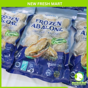 Bào Ngư Đông Lạnh Size 10-12