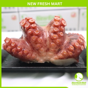 Râu Bạch Tuộc Tako Râu Bạch Tuộc Tako