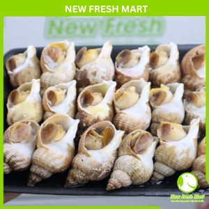 Ốc Bulot Pháp Đông Lạnh