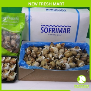 Ốc Bulot Pháp Đông Lạnh