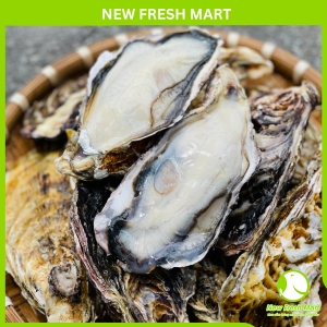 Hàu Nhật Nhập Khẩu