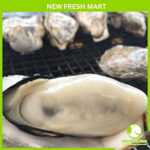 Hàu Nhật Nhập Khẩu