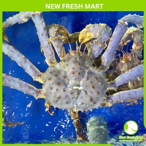 Cua Hoàng Đế Xanh Sống