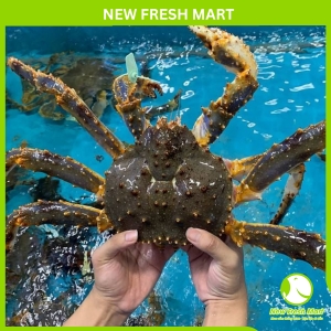 Cua Hoàng Đế Xanh Sống