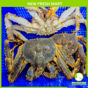 Cua Hoàng Đế Xanh Tươi