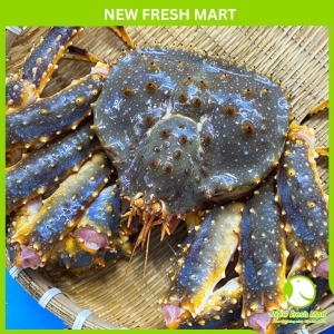 Cua Hoàng Đế Xanh Tươi