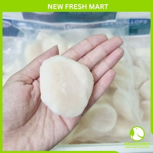 Cồi Sò Điệp Nhật Seatrek Gold