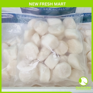 Cồi Sò Điệp Nhật Seatrek Gold