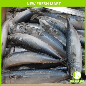 Cá Saba Nhật Nguyên Con New Fresh Cá Saba Nhật Nguyên Con New Fresh