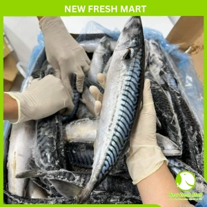 Cá Saba Nauy Nguyên Con New Fresh Cá Saba Nauy Nguyên Con New Fresh